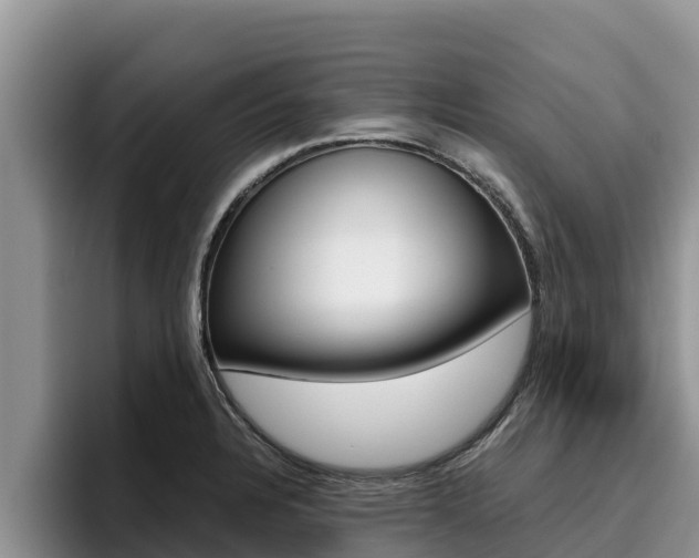 X0000096221328200801181022