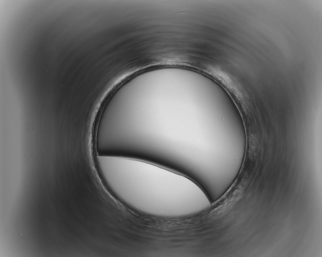 X0000096221331200801181022