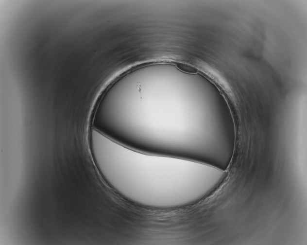 X0000096221332200801181022