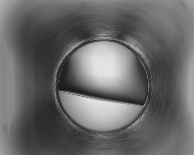 X0000096221333200801181022