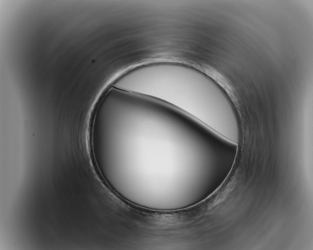 X0000096221334200801181022