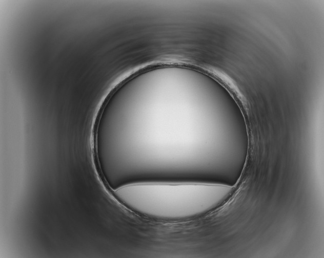 X0000096221335200801181022