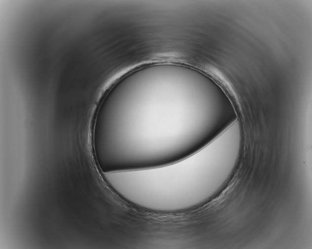 X0000096221336200801181022