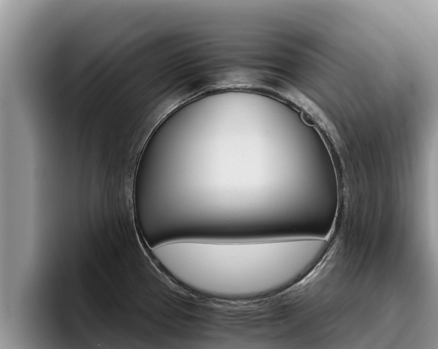 X0000096221337200801181022