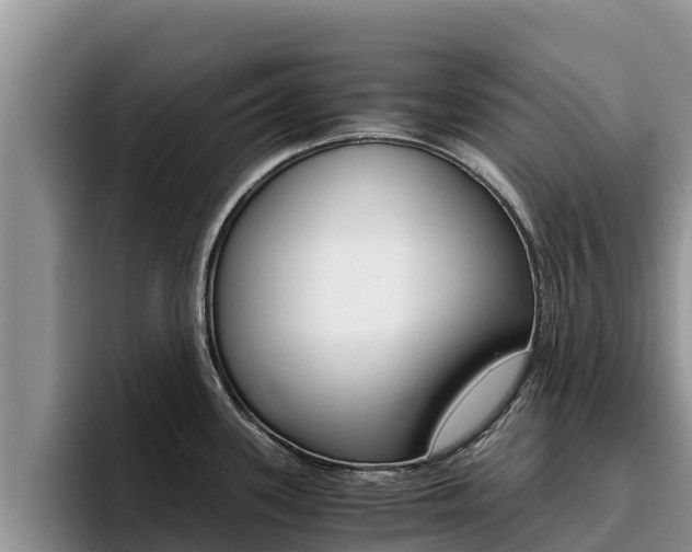 X0000096221339200801181022