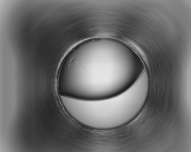 X0000096221340200801181022