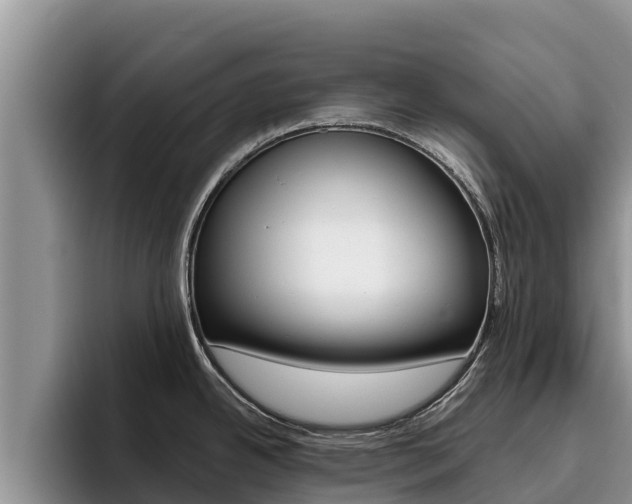 X0000096221342200801181022