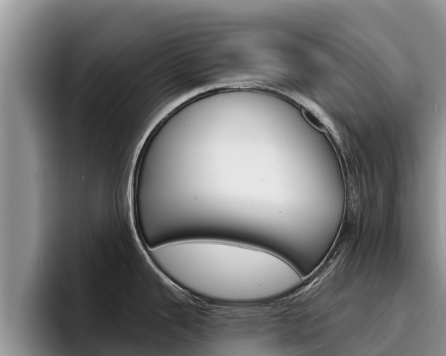 X0000096221343200801181022
