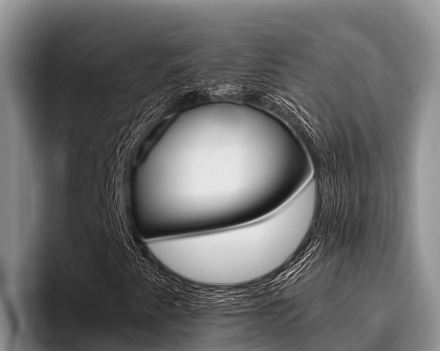 X0000096221345200801181021