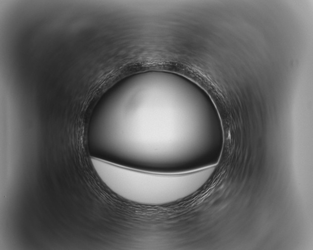 X0000096221348200801181021