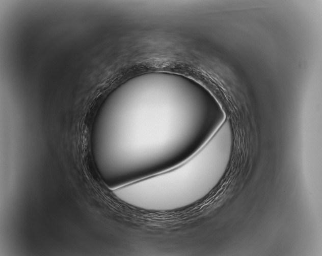 X0000096221349200801181021
