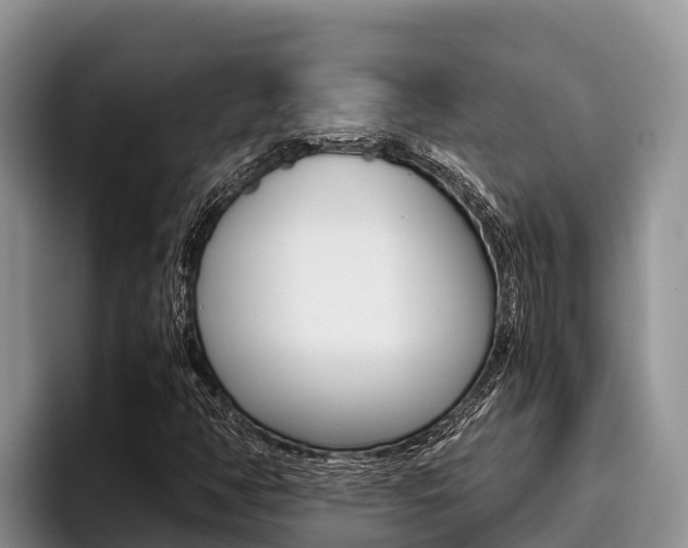 X0000096221350200801181021