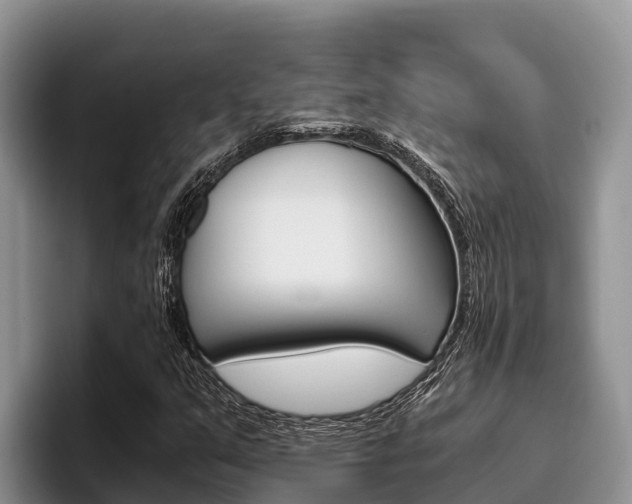 X0000096221351200801181021