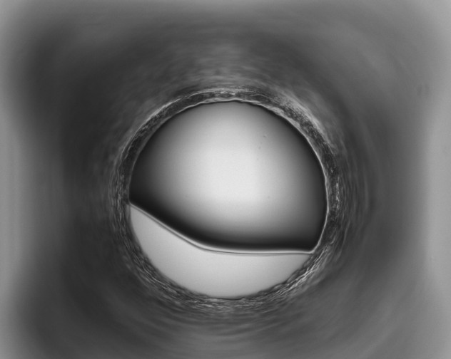 X0000096221352200801181021