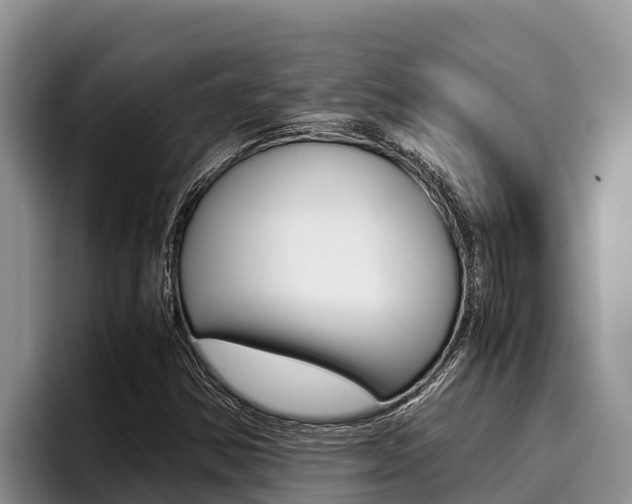 X0000096221354200801181021
