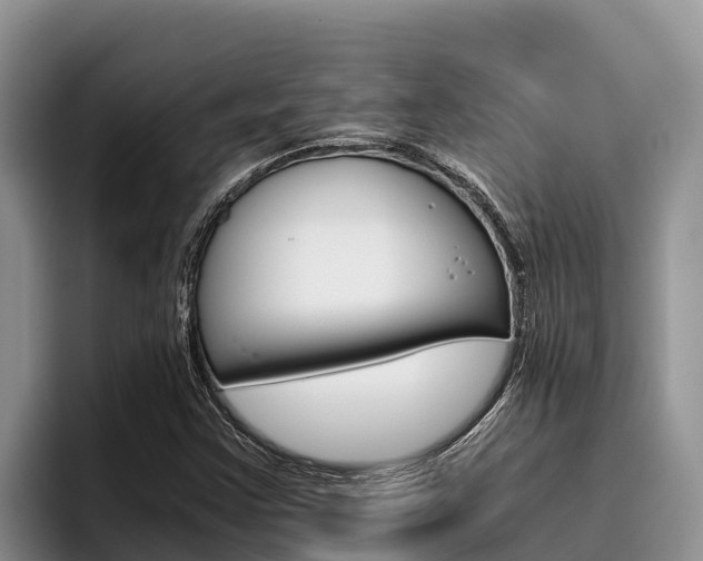 X0000096221355200801181021
