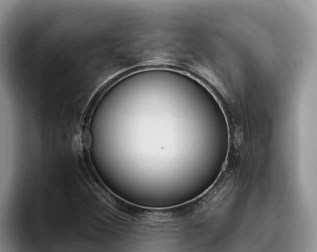 X0000096221356200801181021