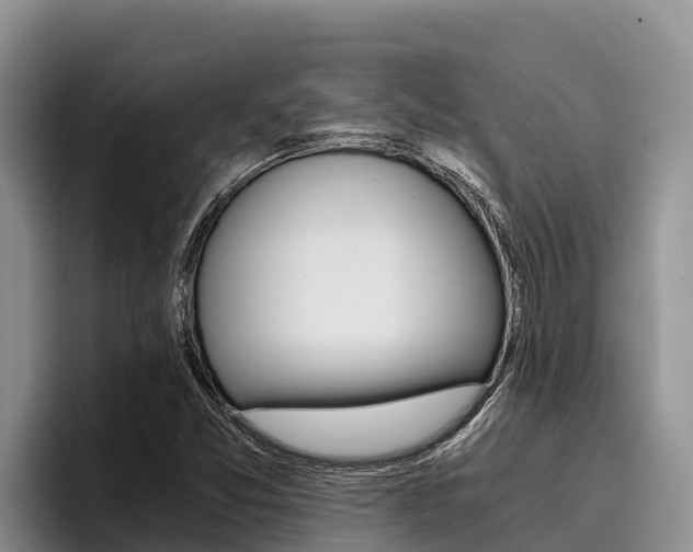 X0000096221357200801181021