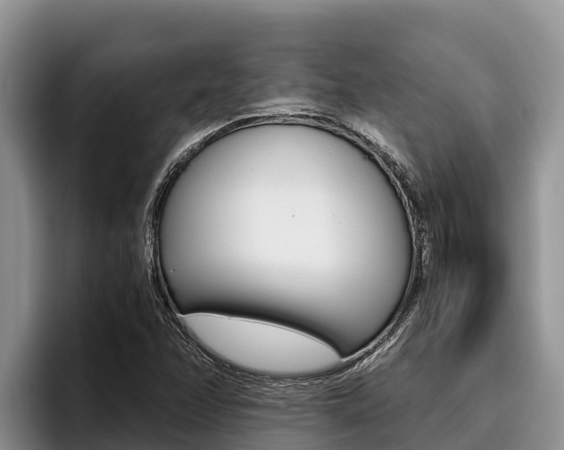X0000096221358200801181021