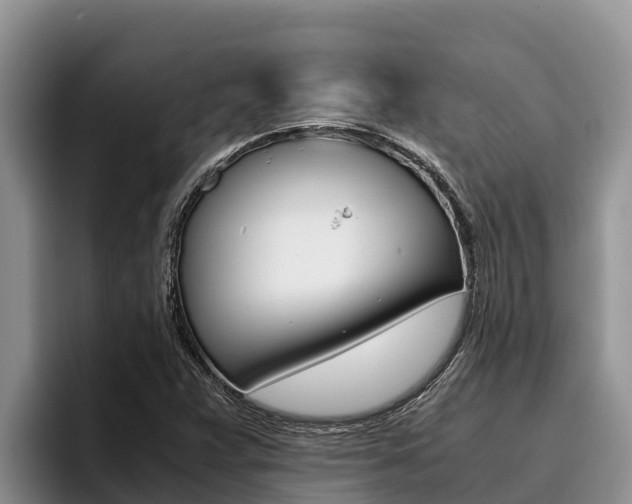 X0000096221359200801181021
