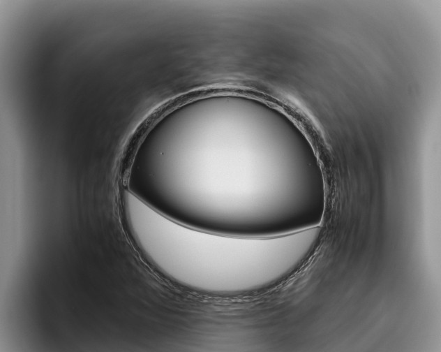 X0000096221360200801181021