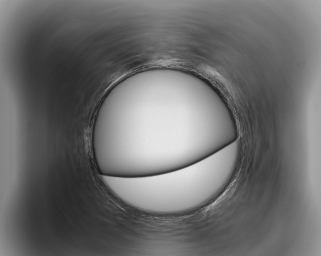X0000096221361200801181021