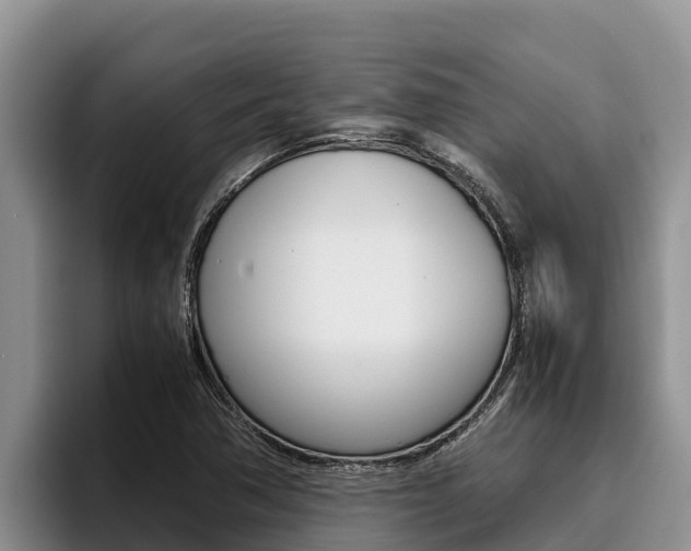 X0000096221362200801181021