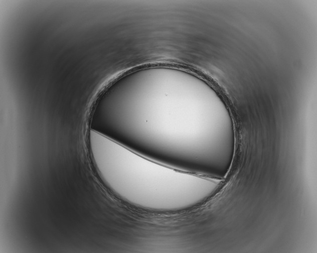 X0000096221363200801181021