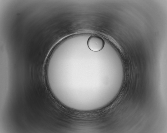 X0000096221364200801181021