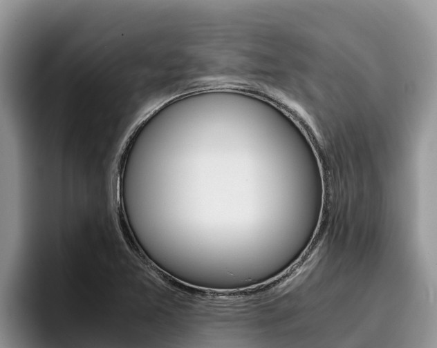 X0000096221365200801181021