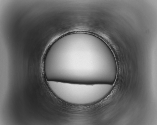 X0000096221366200801181021