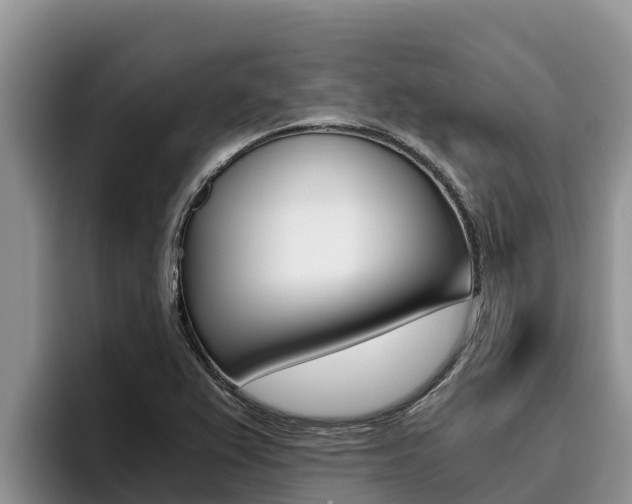 X0000096221367200801181021