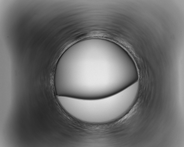 X0000096221369200801181021