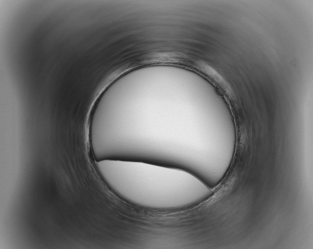 X0000096221370200801181021