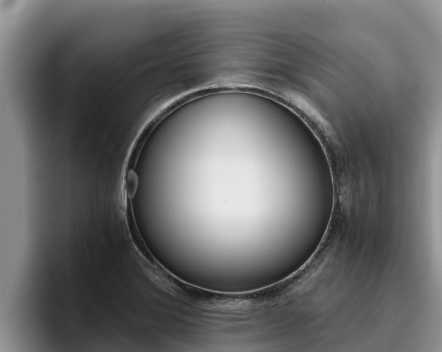 X0000096221372200801181021