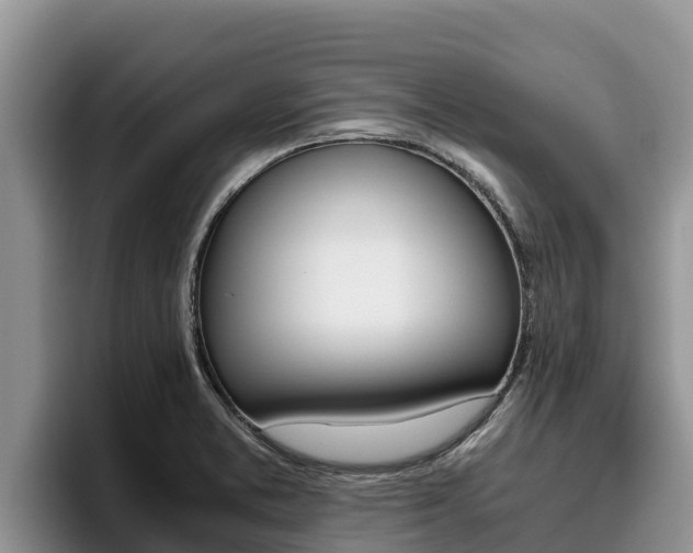 X0000096221373200801181021