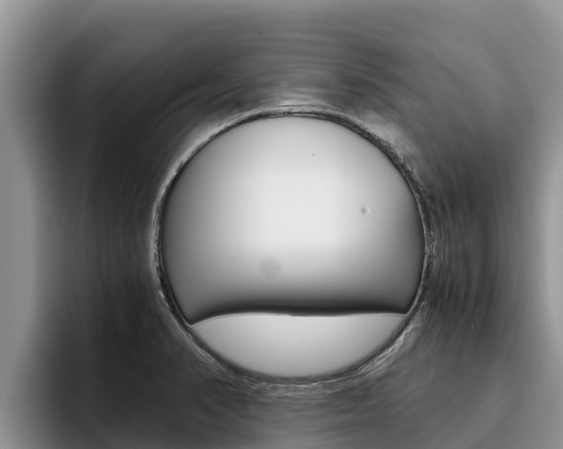 X0000096221374200801181021