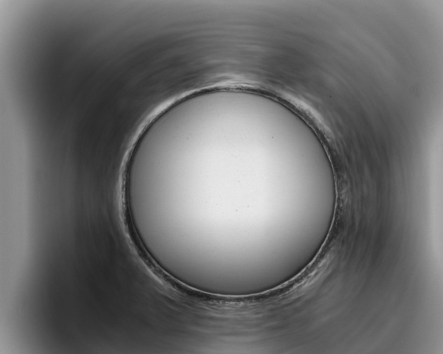 X0000096221375200801181021