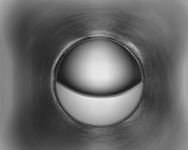 X0000096221376200801181021