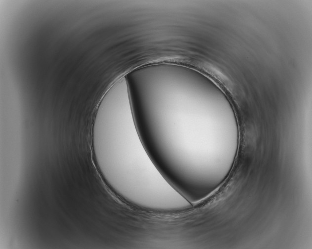X0000096221377200801181021