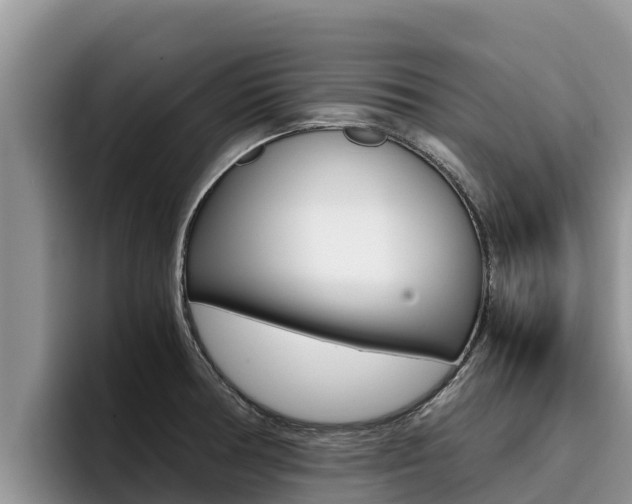 X0000096221378200801181021