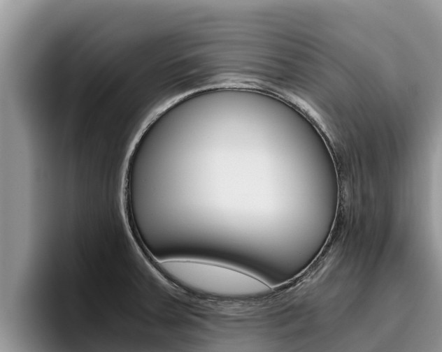 X0000096221379200801181021