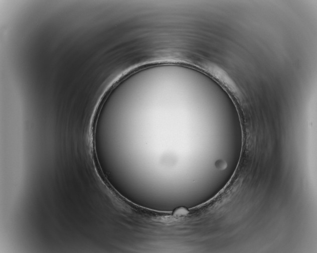 X0000096221380200801181021