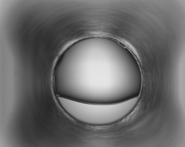 X0000096221381200801181021