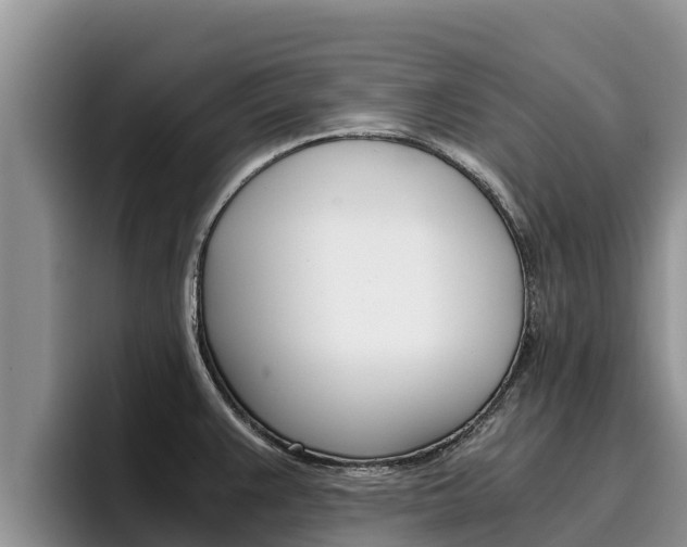 X0000096221383200801181021