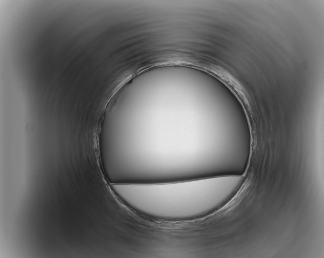 X0000096221385200801181021