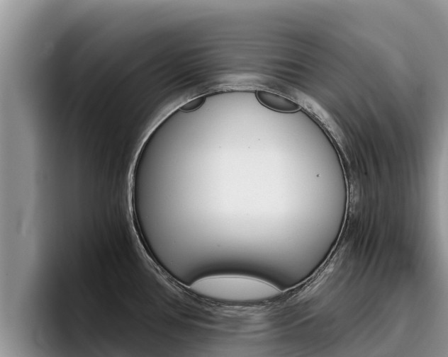 X0000096221386200801181021