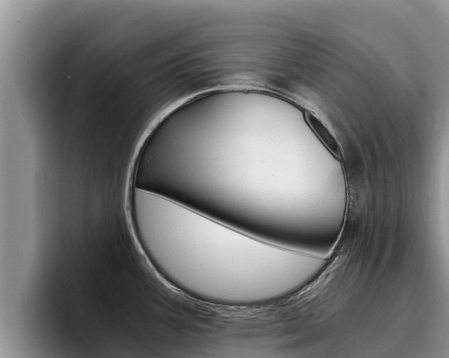 X0000096221387200801181021