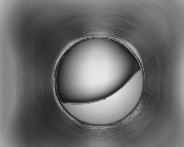 X0000096221389200801181021