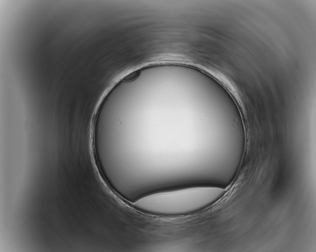 X0000096221390200801181021